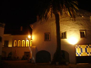 posterior