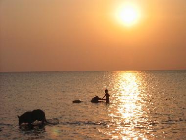 Apartamento de vacaciones en Kerkennah (Safaqis)Casa de vacaciones