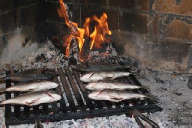 Casa de vacaciones en Zadar (Zadarska)Casa de vacaciones