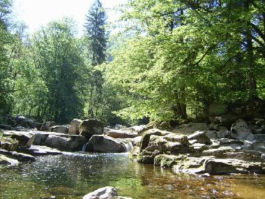 Apartamento de vacaciones en Schnmnzach (Schwarzwald)Casa de vacaciones