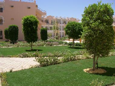 Apartamento de vacaciones en sharm el sheikh (Shamal Sina
