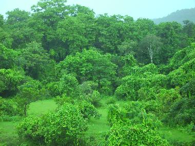 Apartamento de vacaciones en Siolim (Goa)Casa de vacaciones