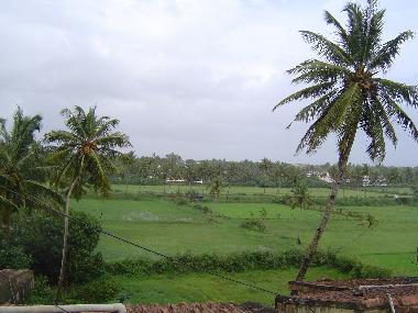 Apartamento de vacaciones en Colva Beach (Goa)Casa de vacaciones