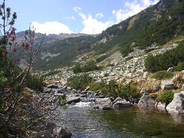 Apartamento de vacaciones en Bansko (Blagoevgrad)Casa de vacaciones