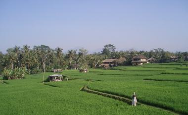 Casa de vacaciones en Ubud (Bali)Casa de vacaciones