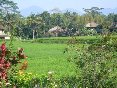 Casa de vacaciones en Ubud (Bali)Casa de vacaciones