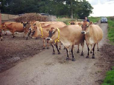 Casa de vacaciones en Silloth (North West)Casa de vacaciones