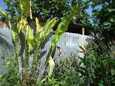Apartamento de vacaciones en Black Rock (Saint Michael)Casa de vacaciones