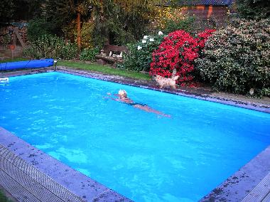 Apartamento de vacaciones en Wellerlooi (Limburg)Casa de vacaciones