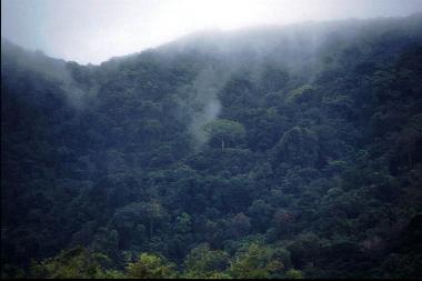 Casa de vacaciones en Englishman