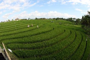 Casa de vacaciones en Canggu.  (Bali)Casa de vacaciones