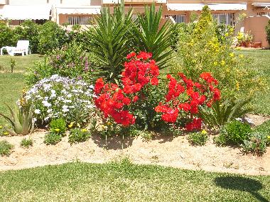 Apartamento de vacaciones en Rota (Cdiz)Casa de vacaciones