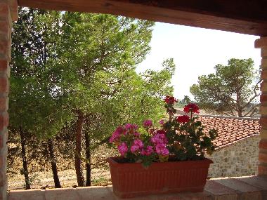 Apartamento de vacaciones en Marciano della Chiana/Ar (Arezzo)Casa de vacaciones