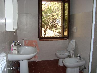 Apartamento de vacaciones en Marciano della Chiana/Ar (Arezzo)Casa de vacaciones