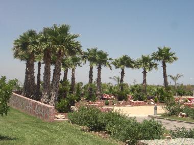 Apartamento de vacaciones en Oropesa (Castell�n / Castell�)Casa de vacaciones