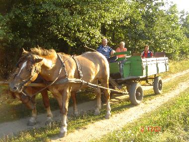 Casa de vacaciones en Vargesztes (Komarom-Esztergom)Casa de vacaciones