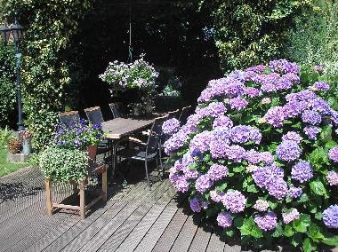 Apartamento de vacaciones en Wellerlooi (Limburg)Casa de vacaciones