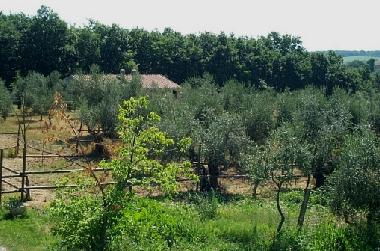 Apartamento de vacaciones en pozzuolo (Perugia)Casa de vacaciones