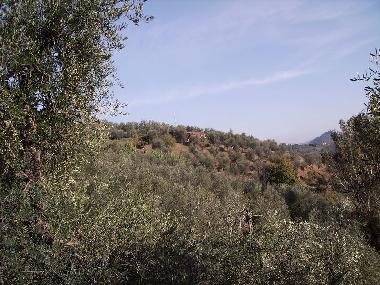 Casa de vacaciones en Montecatini Terme (Pistoia)Casa de vacaciones