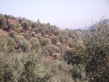 Casa de vacaciones en Montecatini Terme (Pistoia)Casa de vacaciones