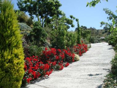 el camino al lado de villa