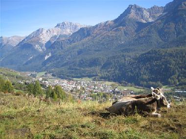 Apartamento de vacaciones en Scuol (Scuol)Casa de vacaciones