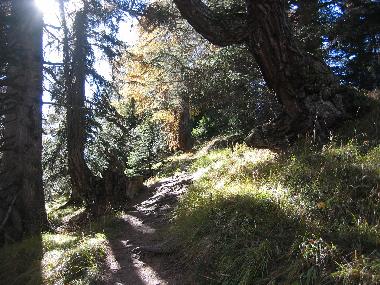 Apartamento de vacaciones en Scuol (Scuol)Casa de vacaciones