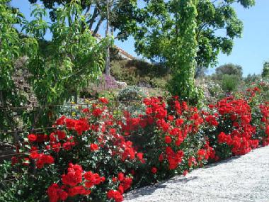 el camino al lado de villa