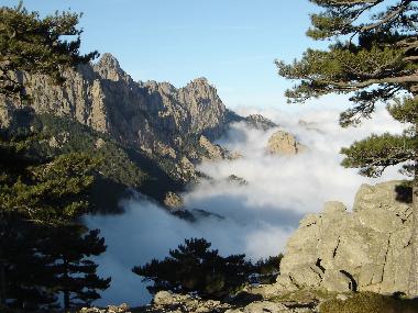 Apartamento de vacaciones en PORTO-VECCHIO (Corse-du-Sud)Casa de vacaciones