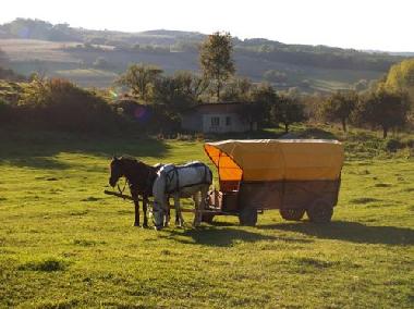 Cama y desayuno en Cund / Bahnea (Mures)Casa de vacaciones