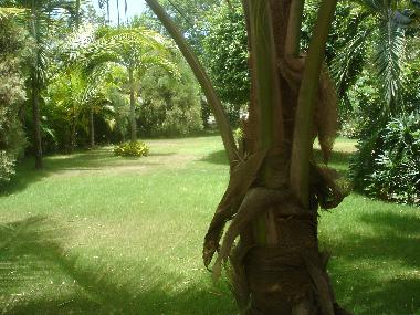 Apartamento de vacaciones en Casa de Campo (La Romana)Casa de vacaciones