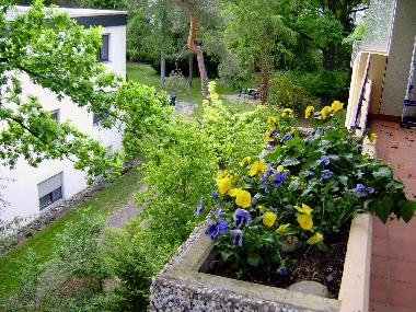 Apartamento de vacaciones en Bad Bellingen (Schwarzwald)Casa de vacaciones