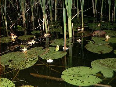 Casa de vacaciones en Hj�ltevad (Smaland)Casa de vacaciones