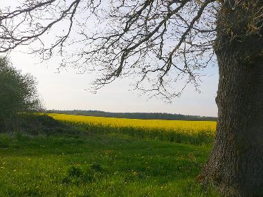 Apartamento de vacaciones en Leussin (Vorpommern)Casa de vacaciones