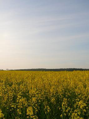 Apartamento de vacaciones en Leussin (Vorpommern)Casa de vacaciones