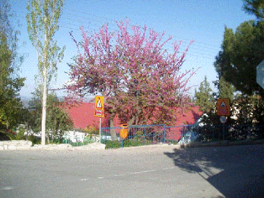 Apartamento de vacaciones en Pano Lefkara (Larnaca)Casa de vacaciones