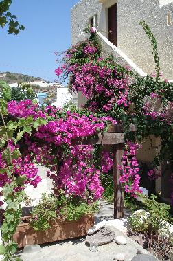 Apartamento de vacaciones en Kos,Kefalos,Kamari (Dodekanisos)Casa de vacaciones