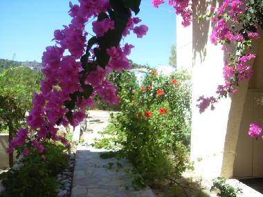 Apartamento de vacaciones en Kos,Kefalos,Kamari (Dodekanisos)Casa de vacaciones