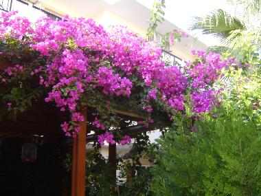 Apartamento de vacaciones en Lindos (Dodekanisos)Casa de vacaciones