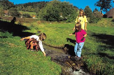 Apartamento de vacaciones en Schwarzwald, Schopfheim, Ortsteil Gersbach (Schwarzwald)Casa de vacaciones