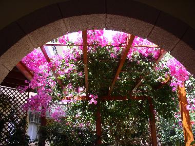 Apartamento de vacaciones en Lindos (Dodekanisos)Casa de vacaciones