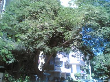 Apartamento de vacaciones en Cairo (Al Qahirah)Casa de vacaciones