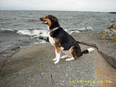 Casa de vacaciones en Ishult (Smaland)Casa de vacaciones