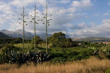 Casa de vacaciones en Cefalu (Palermo)Casa de vacaciones