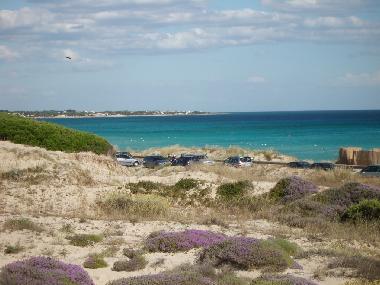 Casa de vacaciones en Marina di Lizzano (Lecce)Casa de vacaciones