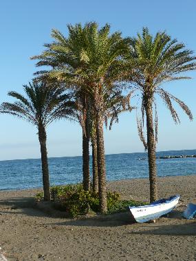 Apartamento de vacaciones en Benalmadena Costa (M�laga)Casa de vacaciones