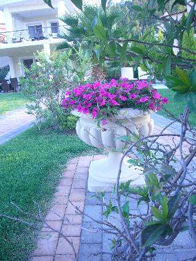 Apartamento de vacaciones en Polichrono-CHALKIDIKI (Chalkidiki)Casa de vacaciones