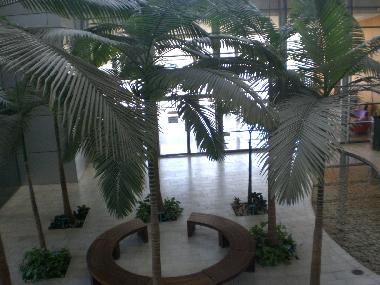 Apartamento de vacaciones en Herzliyya (HaMerkaz (Central))Casa de vacaciones