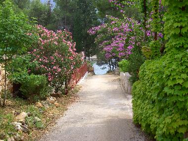 Casa de vacaciones en Stari Grad (Splitsko-Dalmatinska)Casa de vacaciones