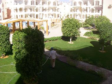 Apartamento de vacaciones en sharm el sheikh (Shamal Sina